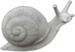 D24