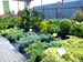 P1010526.JPG