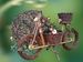 Prutie bicykel
