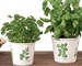 Scheurich GREEN GROW