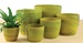 Scheurich LIME MARBLE